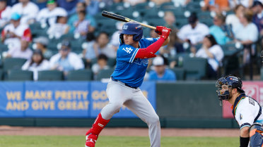 Ward Homer Completes Comets Comeback in Series Finale