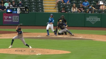 AJ Blubaugh's amazing catch