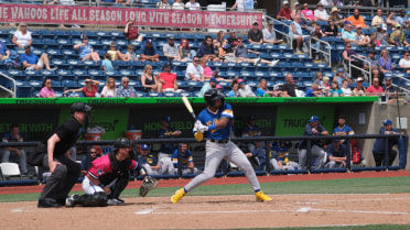 Vargas' 3-RBI Night, Season-High 14 Hits Leads Shuckers to Win over Blue Wahoos