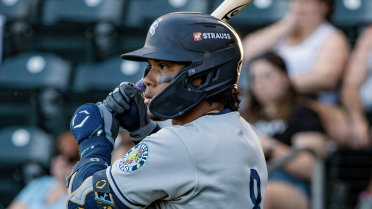 Michael Arroyo's two-run homer