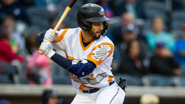 Heavy hitters highlight first day of AFL