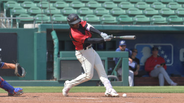 Speedy Grizzlies Back Lebanon Johnson Jr. in Win