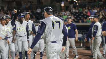 Late Offense, Excellent Pitching Lead Fireflies to Win