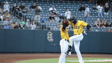 Ledo Pitches Gem As Bees Take Down 'Topes