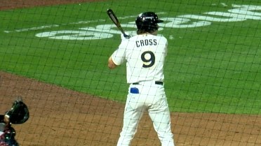 Gavin Cross swats a pair of home runs