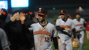 Baysox sweep doubleheader over Sea Dogs on Wednesday