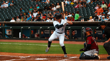 Hooks Level Series with 12-Hit Attack