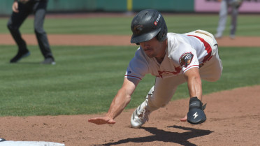Grizzlies Drop Series Finale