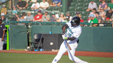 Tortugas Rally in Ninth, Tenth to Walk-off Hammerheads 