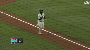 White Sox's No. 8 prospect Lenyn Sosa belts home run