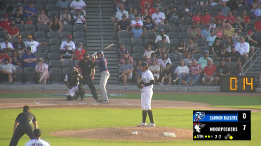 Drake Logan mashes two homers for Kannapolis