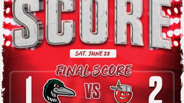 DeVries Walk-Off Single Spoils Loons Pitching Gem, TinCaps Win 2-1
