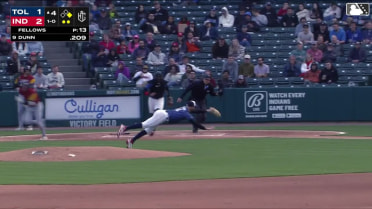 Drake Fellow's diving play