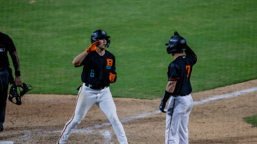 Wagner homers twice, Baysox split doubleheader against Reading