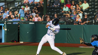 McCrystal Drives in Three As Tortugas Hang on to Even Series