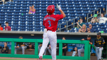 Mathison’s Early Home Run Isn’t Enough in 7-2 DefeatÂ