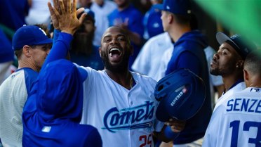 Robinson Homers as Comets Come Back to Defeat Round Rock