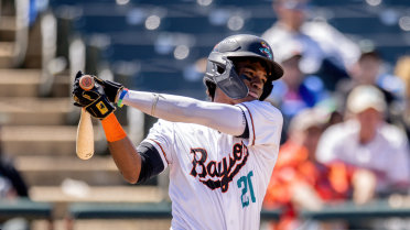 Baysox swept by Akron in Wednesday doubleheader