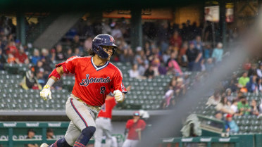 Sounds Fall in Extras on Walk-Off Home Run