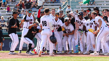 Jimenez Walk-Off Homer Stuns Giants, Gives Nuts Series Split