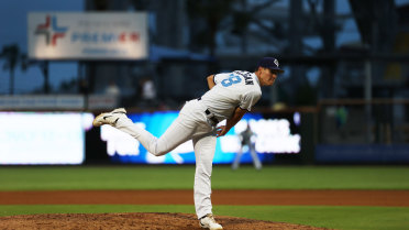 Hounds Hold Hooks in Check