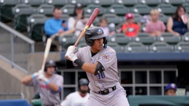 Fernandez's Three RBI Powers Sod Poodles to One-Run Victory