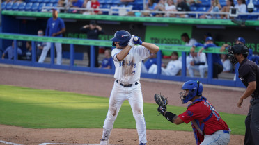 Down to Last Out, Jays Rally to Stun Mets