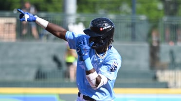 Fireflies Drop Finale 8-1 to Augusta