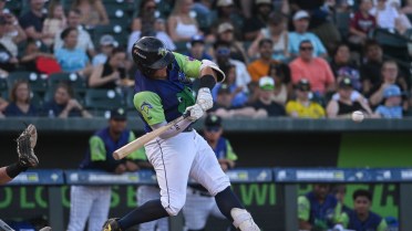 Ramirez Slams Fireflies to 11-Inning WinÂ