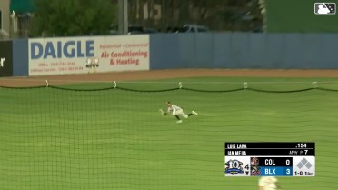 Carlos D. Rodriguez's diving catch