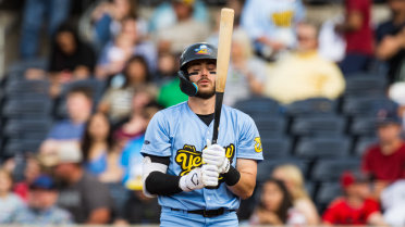 Travelers Launch Three Homers To Thump Pigweeds