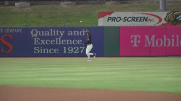 Homers Foil Grizzlies