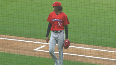 Eury Pérez strikes out four in rehab start