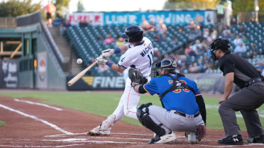 Wagner Bangs Out Four Hits As Space Cowboys Take Down Chihuahuas