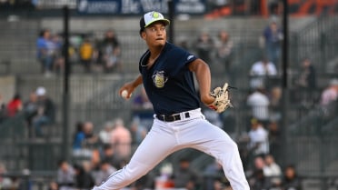Fireflies Fall Short 4-1 vs Augusta