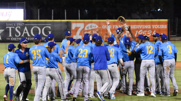 Kings of the South: Sod Poodles Head to Texas League Championship