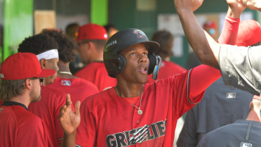 Grizzlies Erase Five Run Deficit in Win