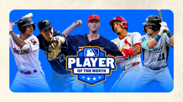 Tigers' McGonigle, Nats' Sykora headline June's Minor League Players of the Month