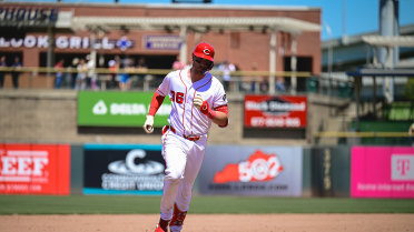 Bats Drop Back and Forth Finale to Cubs