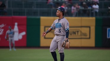 Nats Shackle Hooks