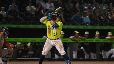 Fireflies Quell Late Rally, Win 5-4