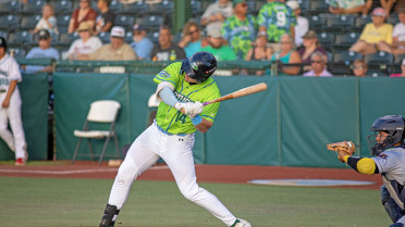 McCrystal Drives in Two in Lopsided Loss