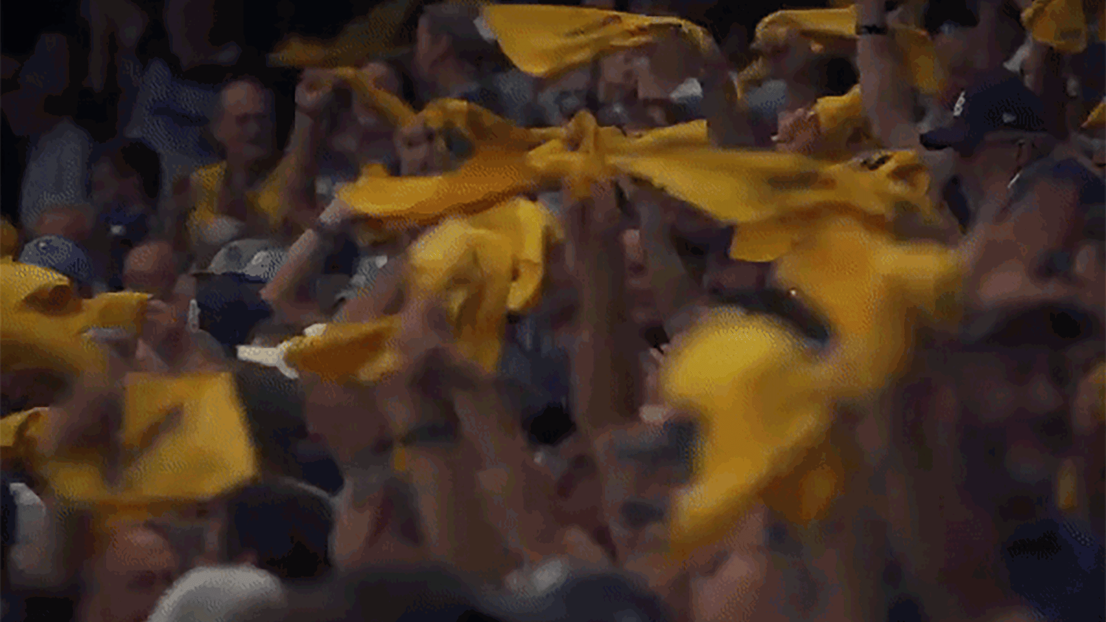 Cheering with the Rays