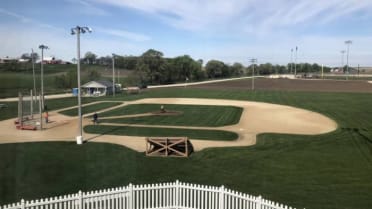 Field of Dreams