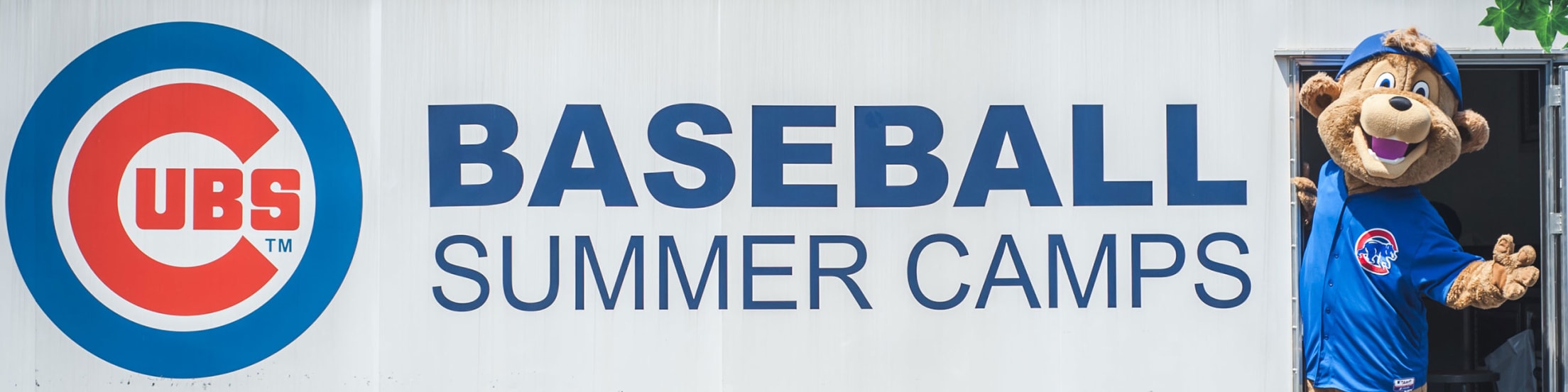 Cubs Summer Camps
