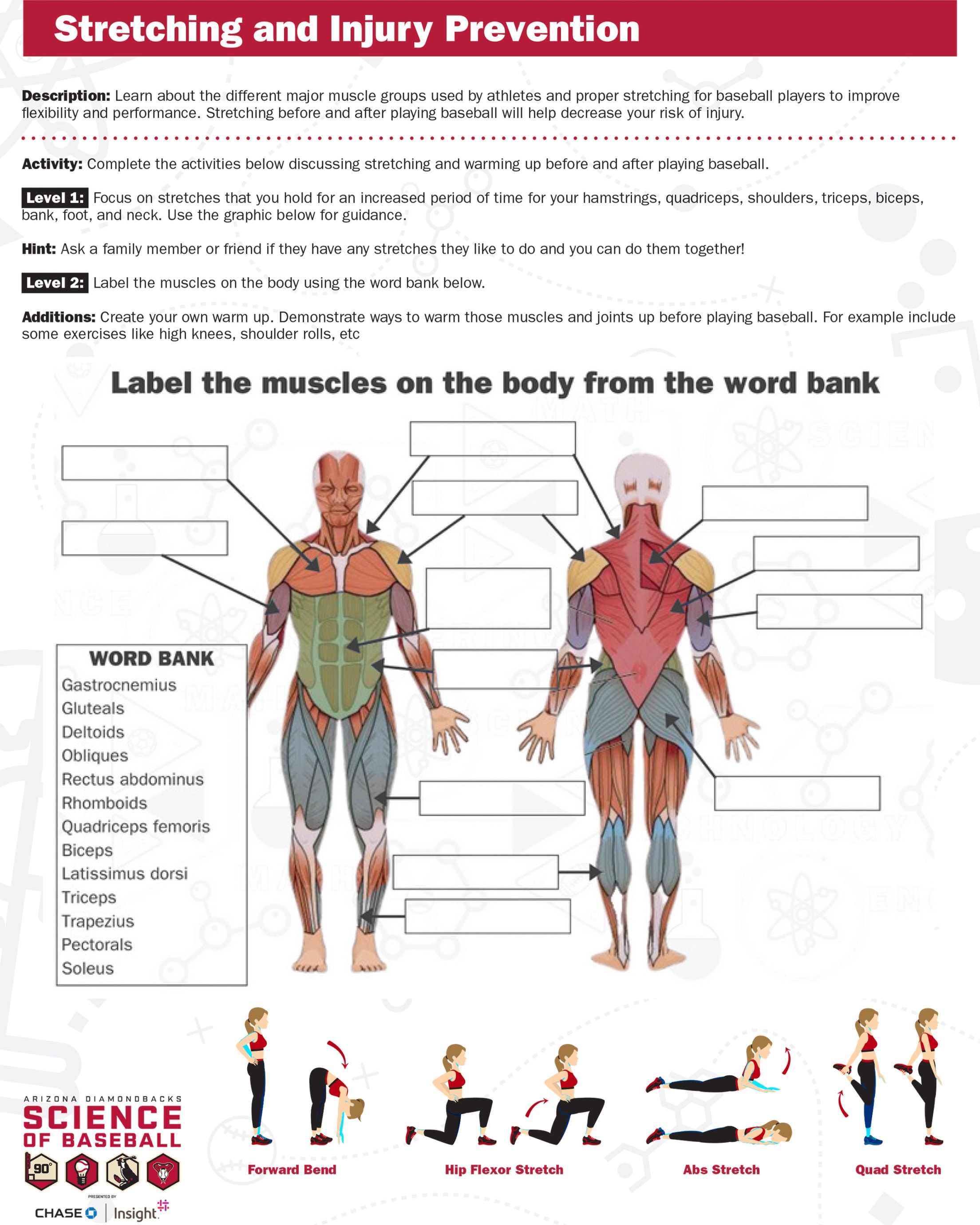 Stretching and Injury Prevention worksheet