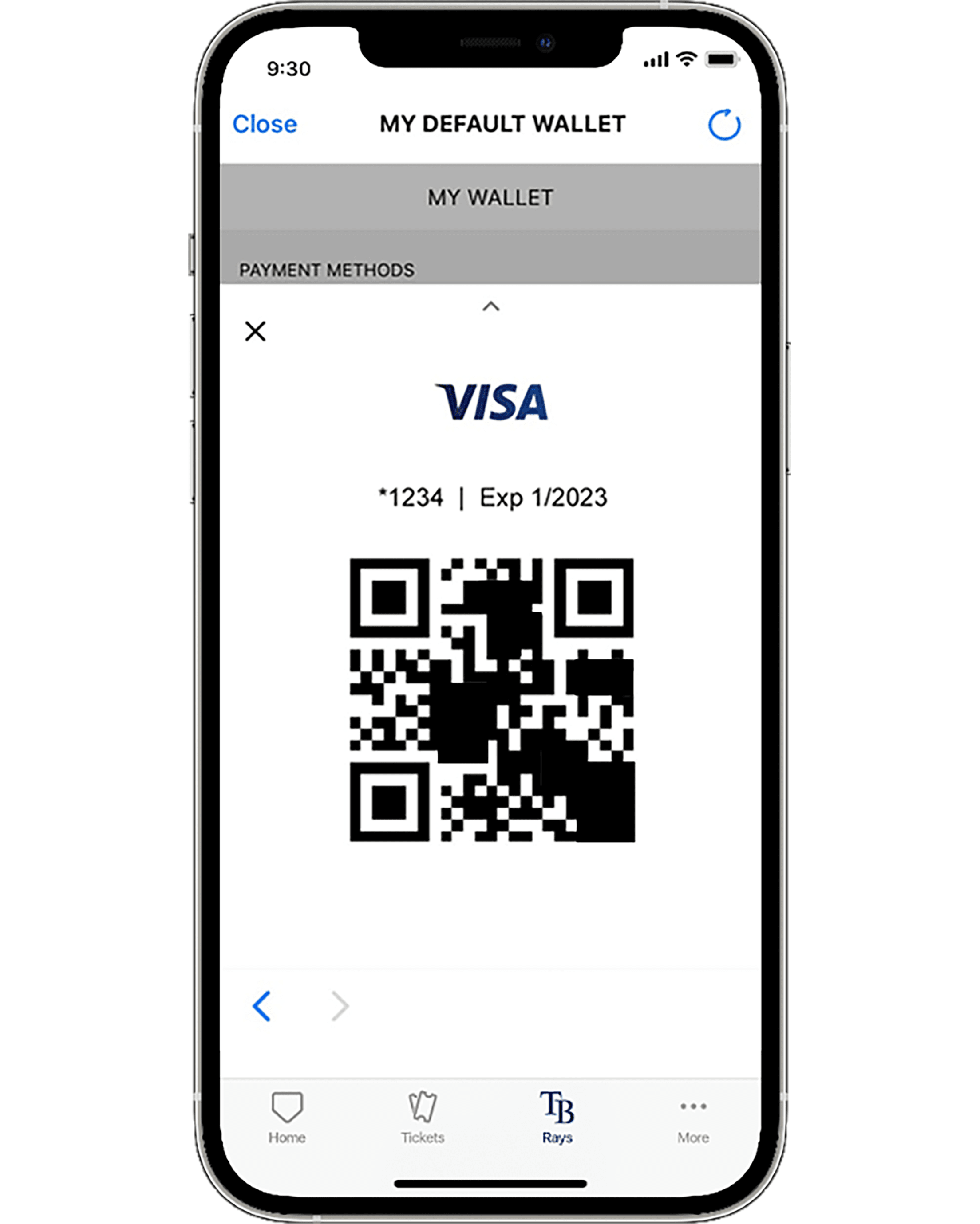 Rays Mobile Tickets Bar Code