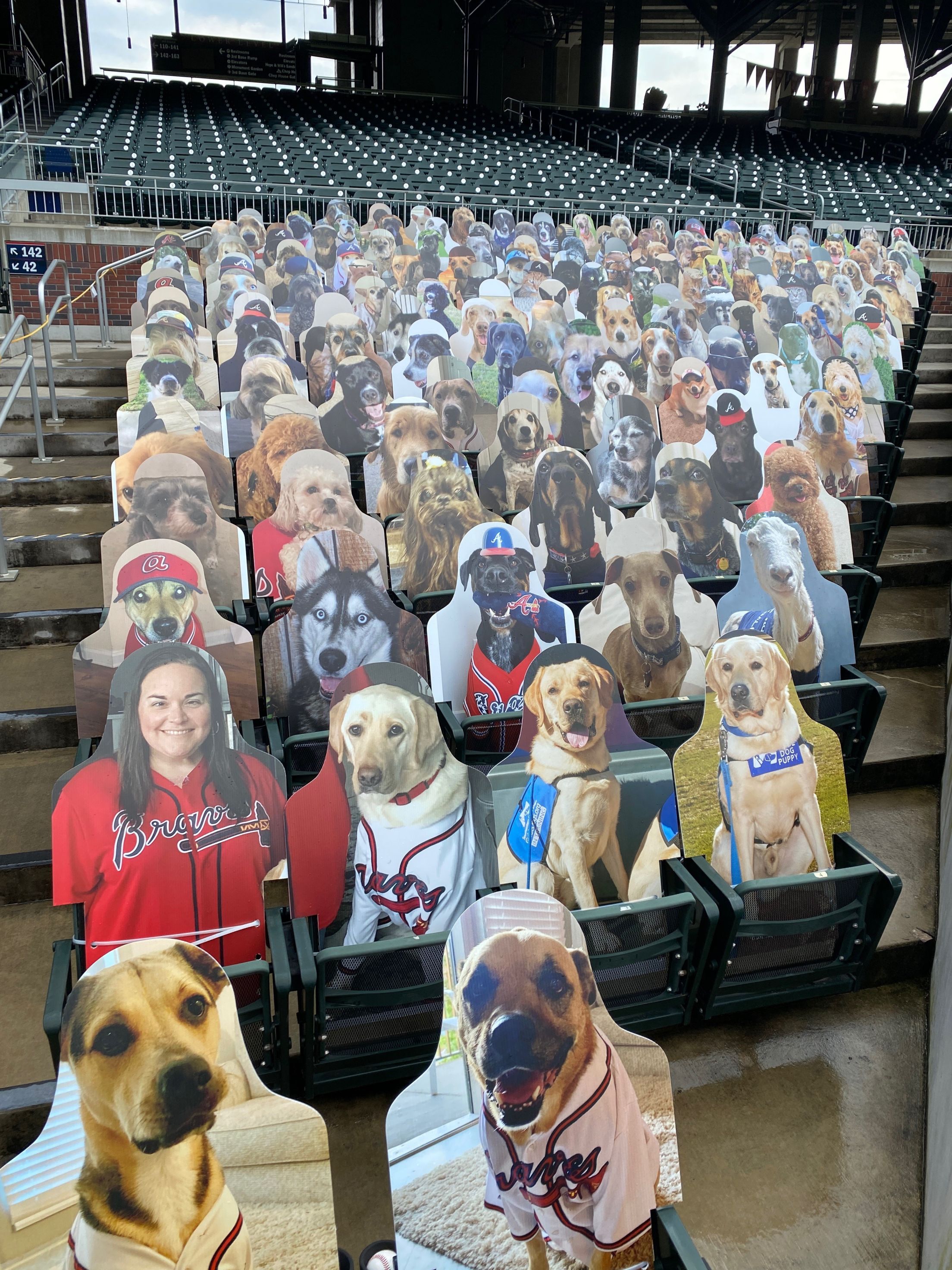 Braves Country Cutouts