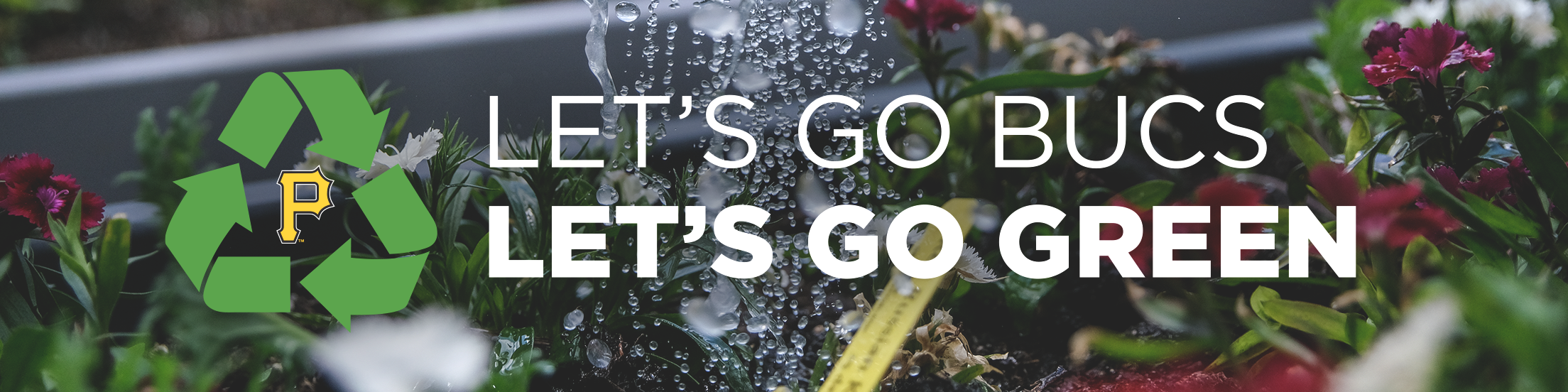 Let's Go Bucs. Let's Go Green.