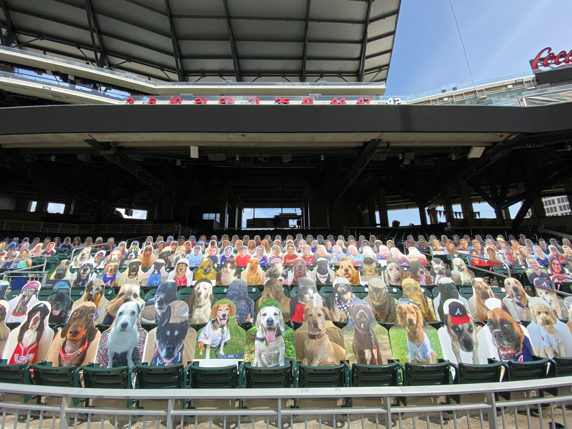 Braves Country Cutouts